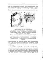 giornale/CFI0360651/1936/unico/00000342