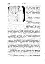 giornale/CFI0360651/1936/unico/00000544