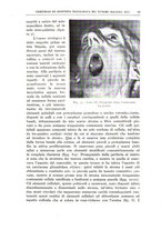 giornale/CFI0360651/1938/unico/00000017