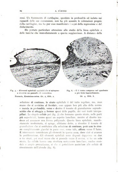 L'oto-rino-laringologia italiana