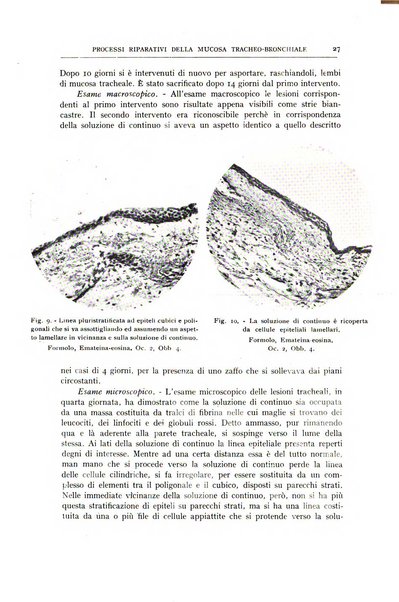 L'oto-rino-laringologia italiana