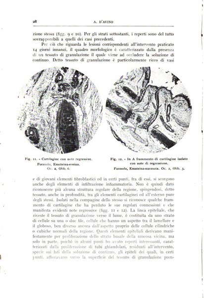 L'oto-rino-laringologia italiana