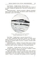 giornale/CFI0360651/1938/unico/00000039