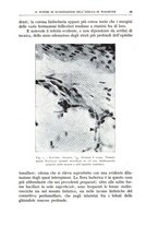 giornale/CFI0360651/1938/unico/00000051