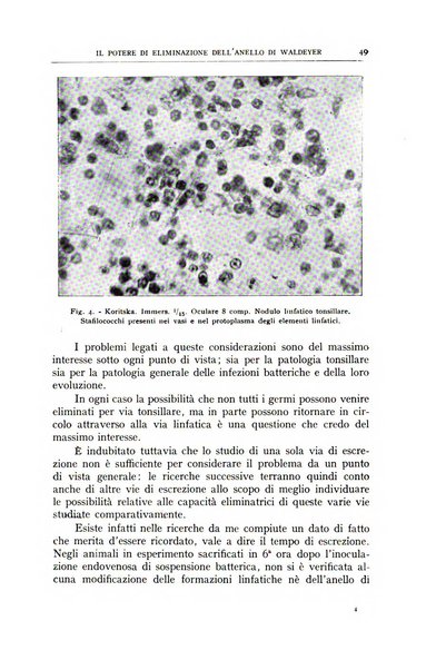 L'oto-rino-laringologia italiana