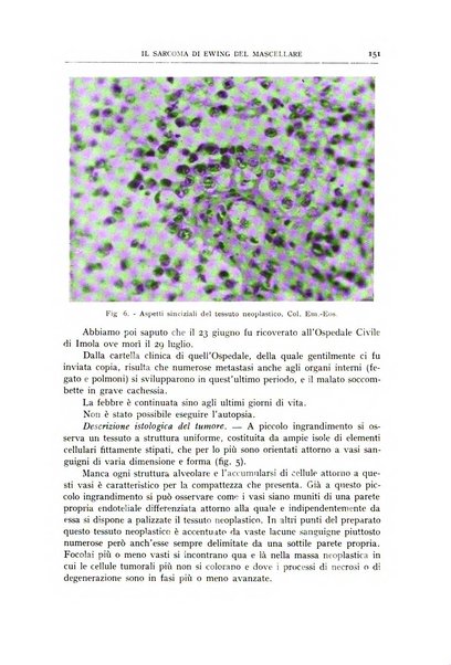 L'oto-rino-laringologia italiana