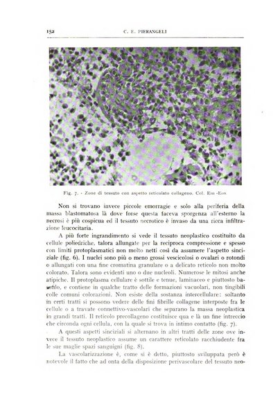 L'oto-rino-laringologia italiana