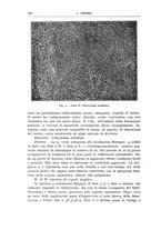 giornale/CFI0360651/1938/unico/00000256