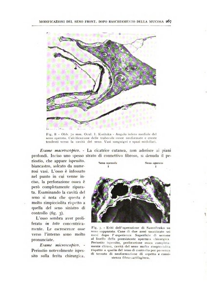 L'oto-rino-laringologia italiana