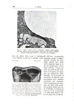 giornale/CFI0360651/1938/unico/00000282