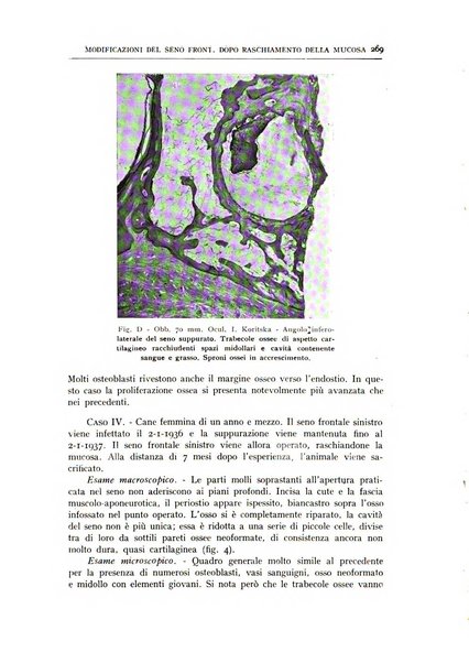 L'oto-rino-laringologia italiana