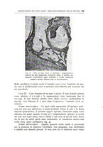giornale/CFI0360651/1938/unico/00000283