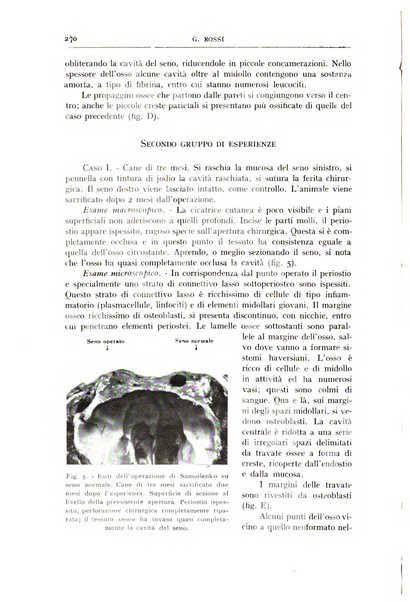 L'oto-rino-laringologia italiana