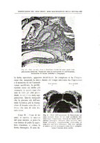 giornale/CFI0360651/1938/unico/00000285