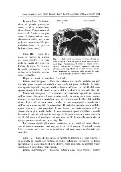 L'oto-rino-laringologia italiana