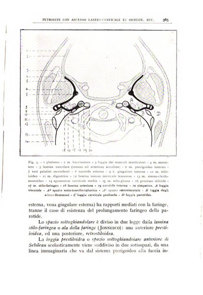 L'oto-rino-laringologia italiana