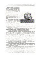 giornale/CFI0360651/1938/unico/00000473