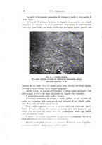 giornale/CFI0360651/1938/unico/00000488