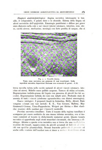 L'oto-rino-laringologia italiana