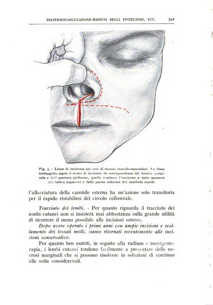 L'oto-rino-laringologia italiana