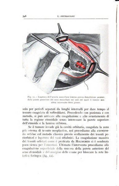 L'oto-rino-laringologia italiana