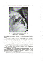 giornale/CFI0360651/1938/unico/00000591