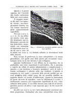 giornale/CFI0360651/1938/unico/00000637