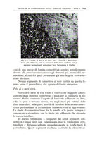 giornale/CFI0360651/1938/unico/00000649