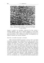 giornale/CFI0360651/1938/unico/00000650