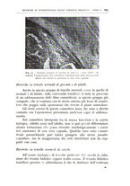 giornale/CFI0360651/1938/unico/00000655