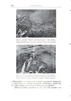 giornale/CFI0360651/1938/unico/00000658