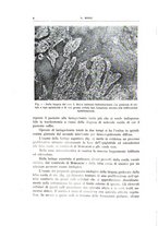 giornale/CFI0360651/1939/unico/00000010