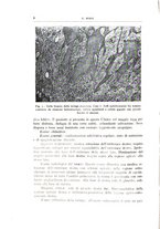 giornale/CFI0360651/1939/unico/00000012