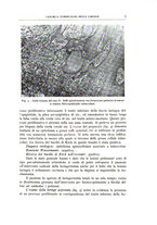 giornale/CFI0360651/1939/unico/00000013