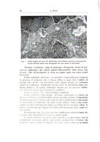 giornale/CFI0360651/1939/unico/00000016
