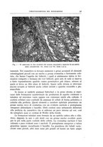 giornale/CFI0360651/1939/unico/00000057