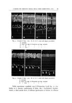 giornale/CFI0360651/1939/unico/00000081