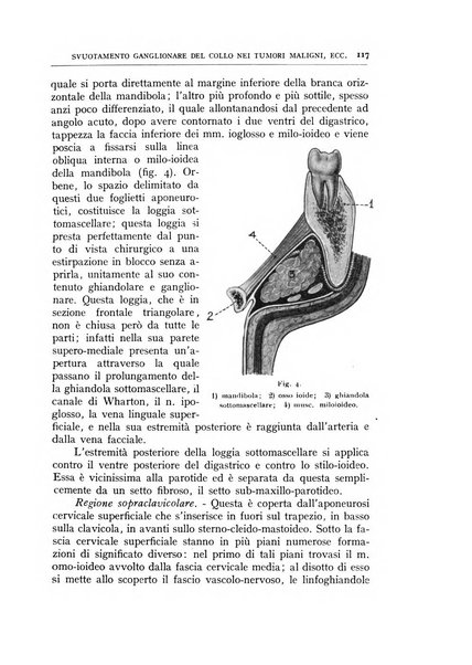 L'oto-rino-laringologia italiana