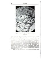 giornale/CFI0360651/1939/unico/00000170