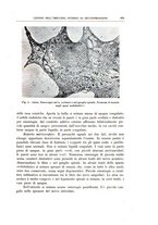 giornale/CFI0360651/1939/unico/00000171
