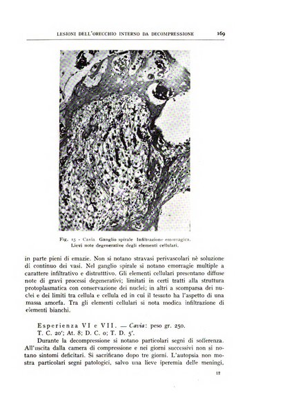 L'oto-rino-laringologia italiana