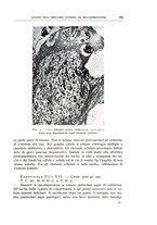giornale/CFI0360651/1939/unico/00000179