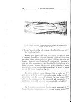 giornale/CFI0360651/1939/unico/00000410