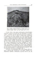 giornale/CFI0360651/1939/unico/00000499