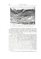 giornale/CFI0360651/1939/unico/00000540