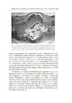giornale/CFI0360651/1939/unico/00000541