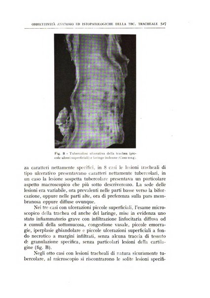 L'oto-rino-laringologia italiana