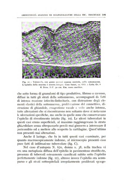 L'oto-rino-laringologia italiana