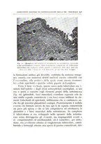 giornale/CFI0360651/1939/unico/00000553