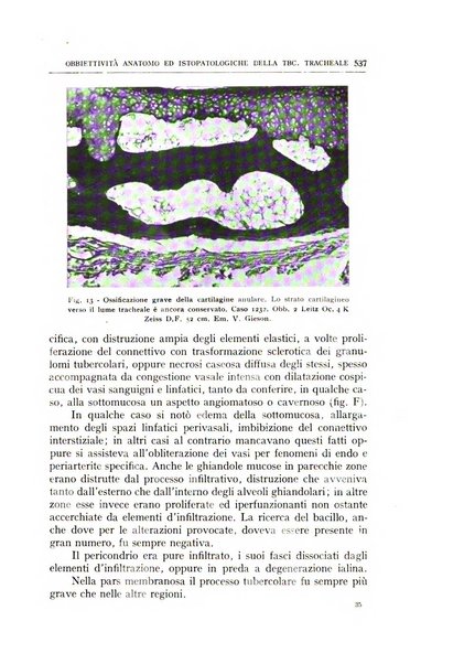 L'oto-rino-laringologia italiana